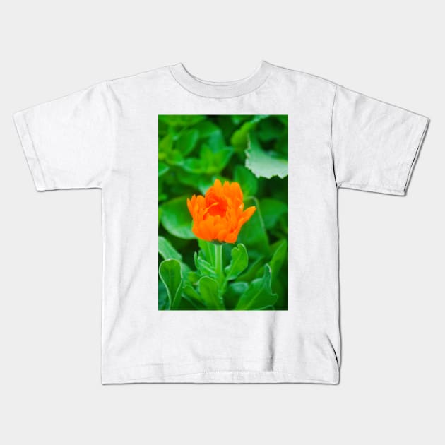 elb marigold Kids T-Shirt by pcfyi